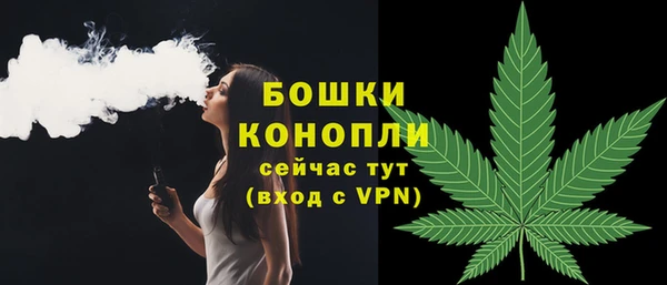 прущие грибы Верхнеуральск