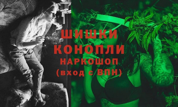 прущие грибы Верхнеуральск
