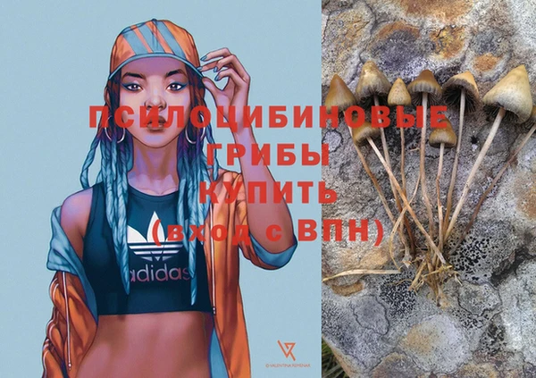 прущие грибы Верхнеуральск