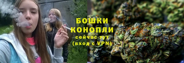 прущие грибы Верхнеуральск
