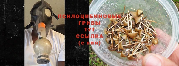прущие грибы Верхнеуральск