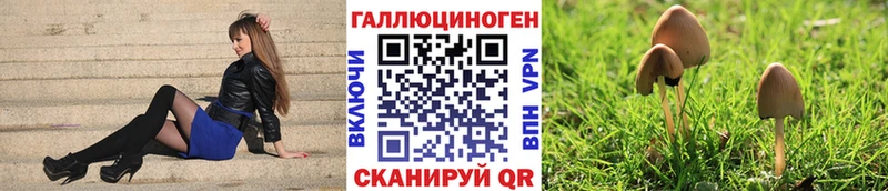 Галлюциногенные грибы Magic Shrooms  наркотики  Гагарин 