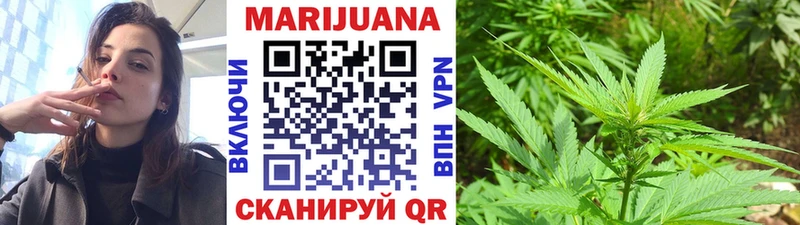 Конопля планчик  МЕГА маркетплейс  Гагарин 